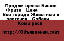 Продам щенка Бишон Фризе › Цена ­ 30 000 - Все города Животные и растения » Собаки   . Коми респ.